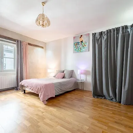 T3 Au Coeur De Nantes